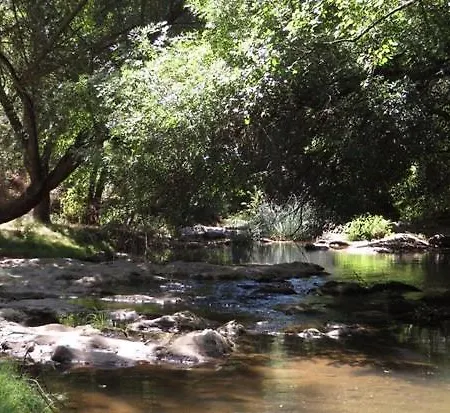 Pureza Del Hueznar Cazalla de la Sierra